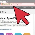 Find dit apple id