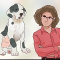 Træn din hund til ikke at stikke af