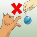 Beskytter dit juletræ mod katte
