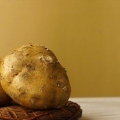 Forbereder jicama