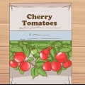 Dyrkning af cherrytomater