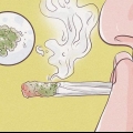 Bruger kief