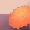 Spise kiwano