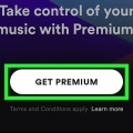 Download musik i spotify