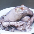 Forbered blæksprutte