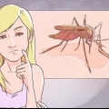 At skelne mellem malaria, dengue og chikungunya