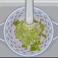 Brug af oregano i køkkenet