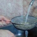 Tilberedning af quinoa i en riskoger