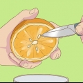 Spirende appelsinfrø