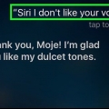 Gøre siri ked af det