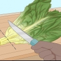 Holde salat frisk