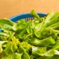 Frysning af chard