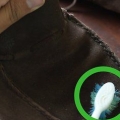 Rengøring af sperries
