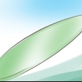 Surf