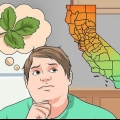 Identifikation af toxicodendron diversilobum