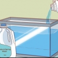 At tage sig af triops