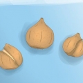 Plantning af tulipanløg
