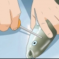 Rense fisk
