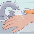 Behandling af loppebid