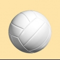 Spiller volleyball