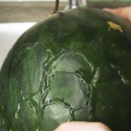 Frysning af vandmelon