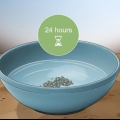Vand spinatplanter