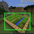 Indsamling af gulerødder i minecraft