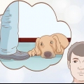 Se om din hund er deprimeret