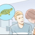 Pleje af en rød øreskildpadde