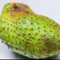 At lave soursop juice