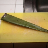 Fremstilling af aloe vera juice