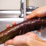 Forbered aubergine