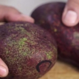 Frysning af avocado