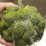 Forbered broccoli