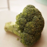 Frysning af broccoli