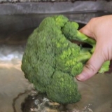 Rengøring af broccoli