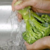 Dampende broccoli uden dampkurv
