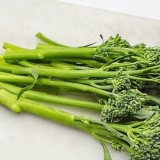 Forbered broccolini