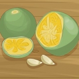 Calamondin planter