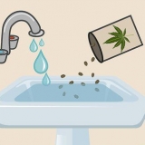 Plantning af cannabisfrø indendørs
