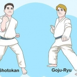 Forstå det grundlæggende i karate