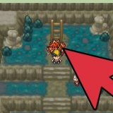 Få dratini i pokémon soulsilver