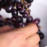 Fremstilling af druesaft