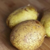 Bagning af en kartoffel i mikroovnen