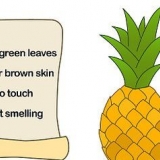 Dyrkning af ananas