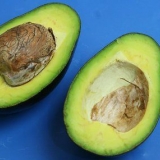 At spise en avocado