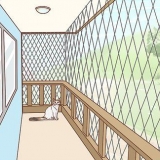 Gør en altan sikker for katte