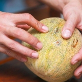 Køb en cantaloupe