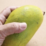 At vælge en god mango