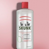 At tage sig af en hund, der er blevet sprøjtet af en skunk